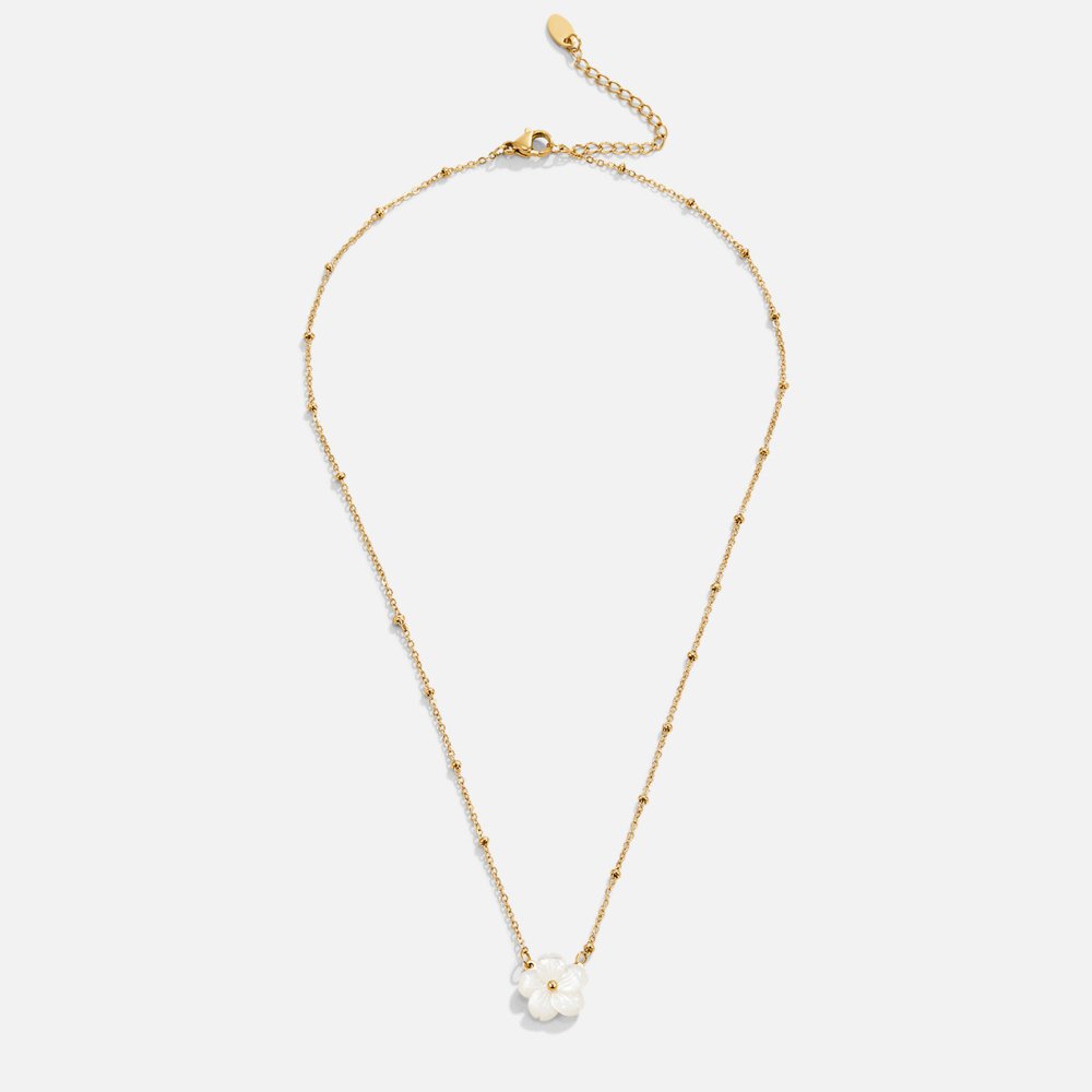 Weißes Blütenblumen-Halsband